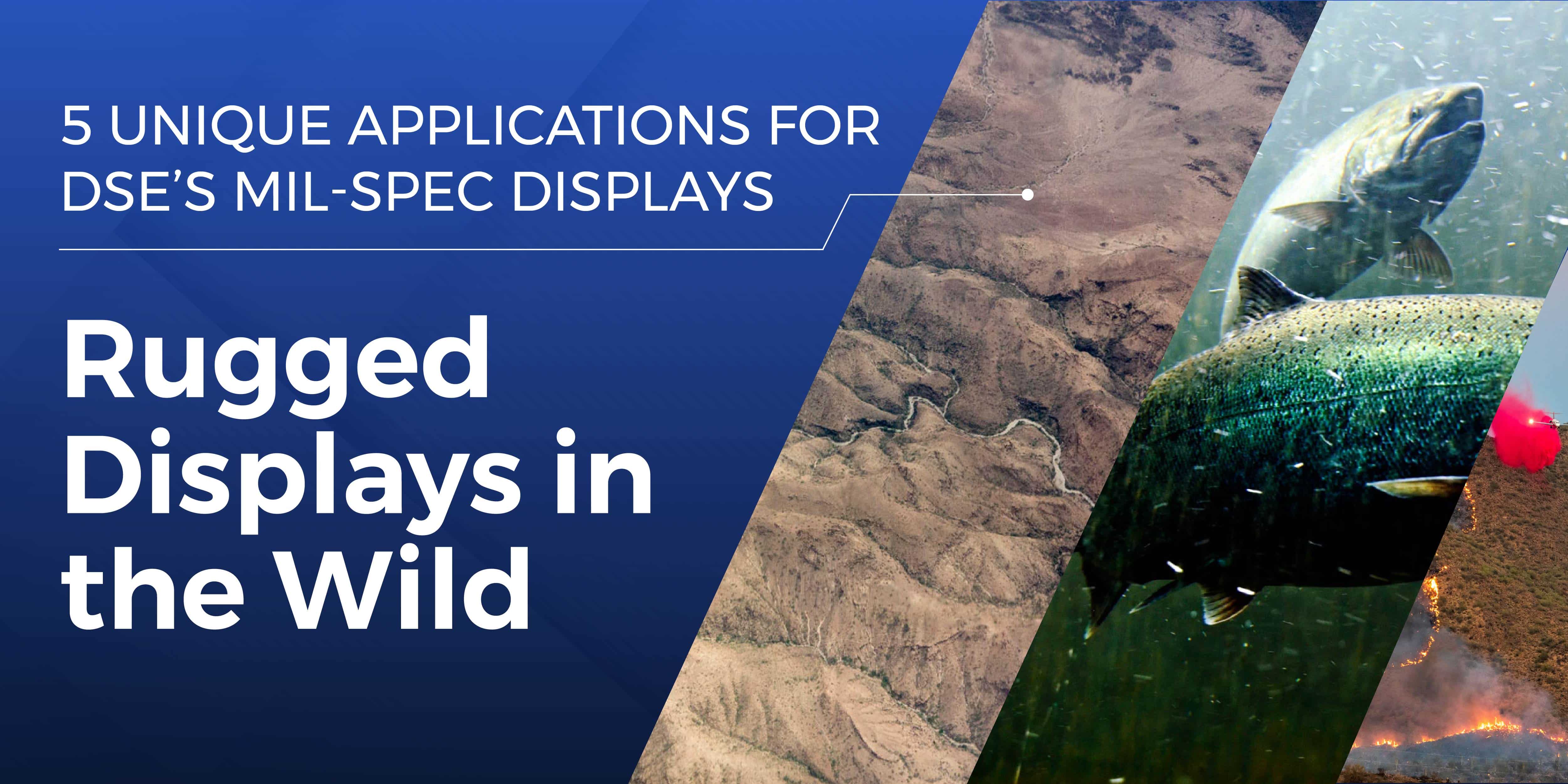 Rugged Displays in the Wild blog graphic